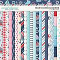True North Papers by Traci Reed