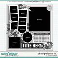 Cindy's Layered Templates - Photo Palooza 441 by Cindy Schneider