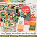 The College Experience Bundle by Studio Liv