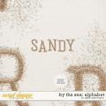 By the Sea: Alphabet by Allison Pennington