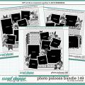 Cindy's Layered Templates - Photo Palooza Bundle 149 by Cindy Schneider