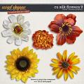 CU Silk Flowers 9 by Clever Monkey Graphics   