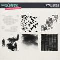 AY CU overlays 2 by Amanda Yi