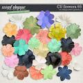 CU Flowers 93 by Blagovesta Gosheva