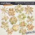 CU Flowers 94 by Blagovesta Gosheva