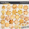 CU Flowers 95 by Blagovesta Gosheva