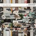 Rearview: The Kit by Allison Pennington