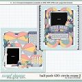 Cindy's Layered Templates - Half Pack 430: Circle Craze 2 by Cindy Schneider