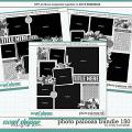 Cindy's Layered Templates - Photo Palooza Bundle 150 by Cindy Schneider