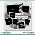 Cindy's Layered Templates - Photo Palooza 452 by Cindy Schneider