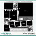 Cindy's Layered Templates - Photo Palooza 457 by Cindy Schneider