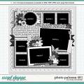 Cindy's Layered Templates - Photo Palooza 461 by Cindy Schneider