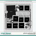 Cindy's Layered Templates - Photo Palooza 462 by Cindy Schneider