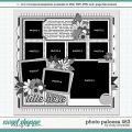 Cindy's Layered Templates - Photo Palooza 463 by Cindy Schneider