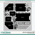 Cindy's Layered Templates - Photo Palooza 465 by Cindy Schneider