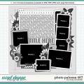 Cindy's Layered Templates - Photo Palooza 467 by Cindy Schneider