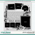 Cindy's Layered Templates - Photo Palooza 469 by Cindy Schneider