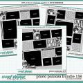 Cindy's Layered Templates - Photo Palooza Bundle 158 by Cindy Schneider