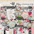 Adventures of Life by Red Ivy Design