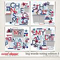 Big Words Voting Edition 3 by Fiddle-Dee-Dee Designs