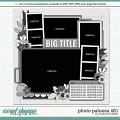 Cindy's Layered Templates - Photo Palooza 481 by Cindy Schneider