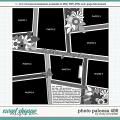 Cindy's Layered Templates - Photo Palooza 486 by Cindy Schneider
