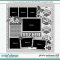 Cindy's Layered Templates - Photo Palooza 492 by Cindy Schneider