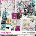 A New Path Add-Ons by Tracie Stroud