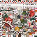 Snow Day: The Kit by Allison Pennington