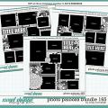 Cindy's Layered Templates - Photo Palooza Bundle 165 by Cindy Schneider