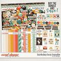 Birthday Boy Bundle by LJS Designs 