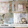 Mish Mash Mixed Media #5 Papers by Studio Basic