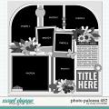 Cindy's Layered Templates - Photo Palooza 497 by Cindy Schneider