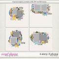 4 Story: 2 Photos by LJS Designs