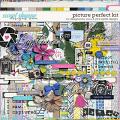 Picture Perfect Kit by Pink Reptile Designs and Designed by Soco