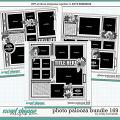 Cindy's Layered Templates - Photo Palooza Bundle 169 by Cindy Schneider