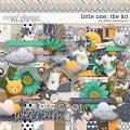 Little One: The Kit by Allison Pennington