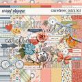 Carefree: Mini Kit | Designed by Soco