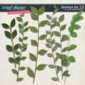 CU | Leaves No.12 by Pink Reptile Designs
