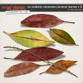 CU REALISTIC ELEMENTS | AUTUMN LEAVES V.3 by The Nifty Pixel