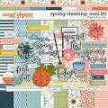 Spring Cleaning: Mini Kit | Designed by Soco