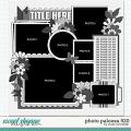 Cindy's Layered Templates - Photo Palooza 520 by Cindy Schneider