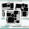 Cindy's Layered Templates - Photo Palooza Bundle 173 by Cindy Schneider