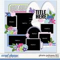 Cindy's Layered Templates - Photo Palooza 521 by Cindy Schneider