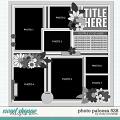 Cindy's Layered Templates - Photo Palooza 528 by Cindy Schneider