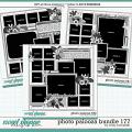 Cindy's Layered Templates - Photo Palooza Bundle 177 by Cindy Schneider