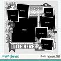 Cindy's Layered Templates - Photo Palooza 536 by Cindy Schneider