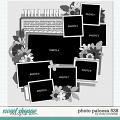 Cindy's Layered Templates - Photo Palooza 538 by Cindy Schneider
