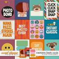 Camera Ham Cards by Clever Monkey Graphics 