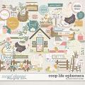 Coop Life Ephemera by Becca Bonneville 